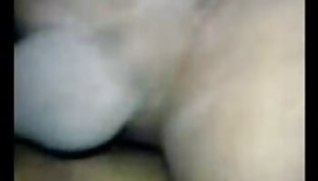 ويليكي فان أميلروي سكس مصري مترجم - يوميات شهيرة